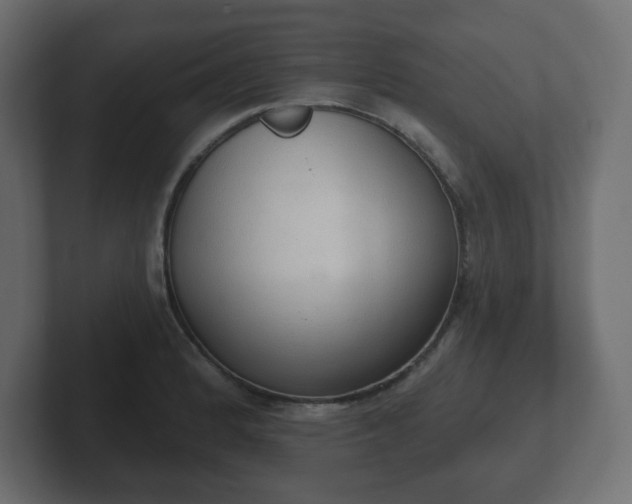 X0000103171184200808291504