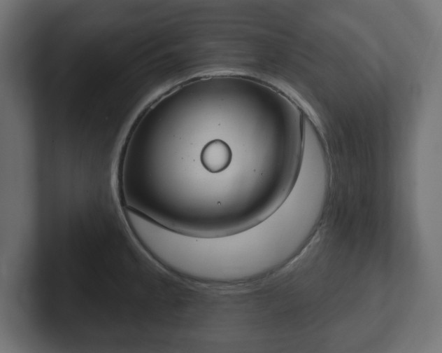 X0000103171189200808291504