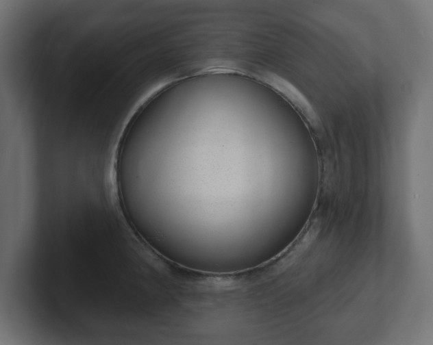 X0000103171190200808291504