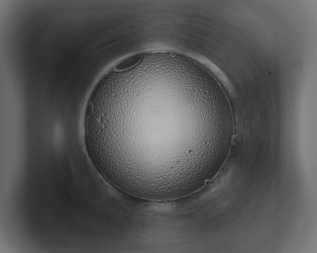 X0000103171191200808291504