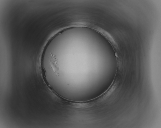 X0000103171192200808291504