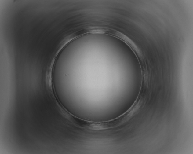 X0000103171194200808291504