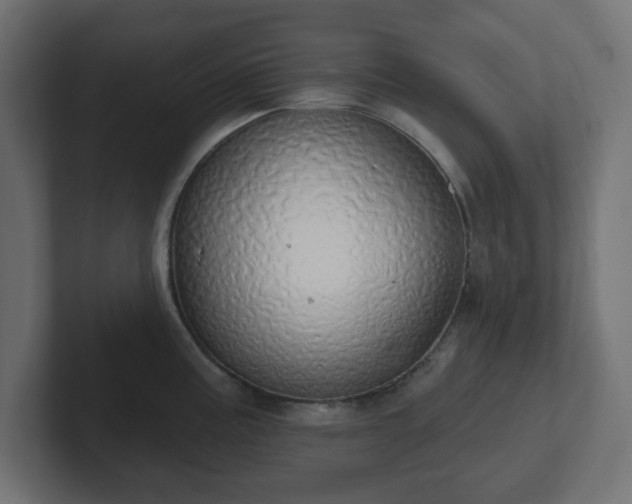 X0000103171195200808291504