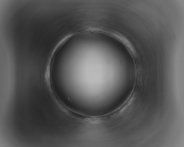 X0000103171198200808291504