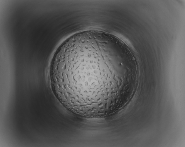 X0000103171200200808291504