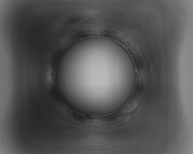 X0000103171202200808291503