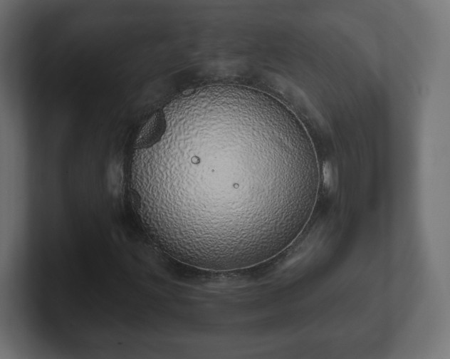 X0000103171203200808291503