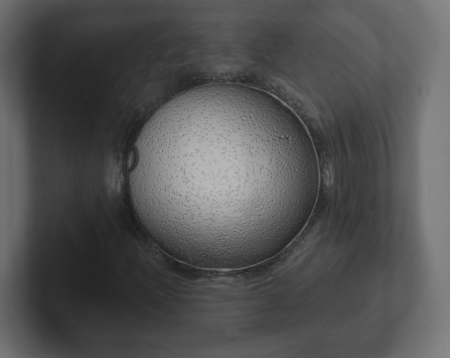 X0000103171204200808291503