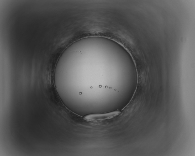 X0000103171205200808291503