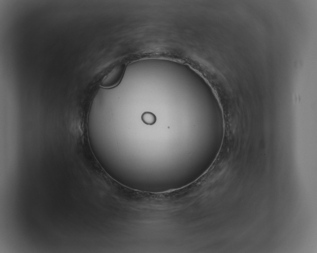 X0000103171206200808291503