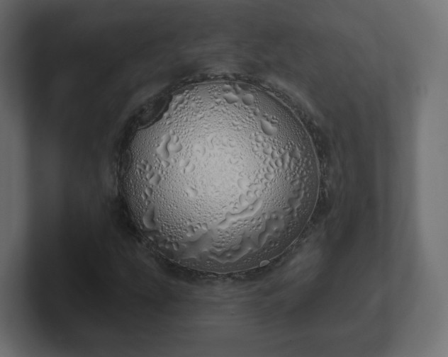 X0000103171207200808291503