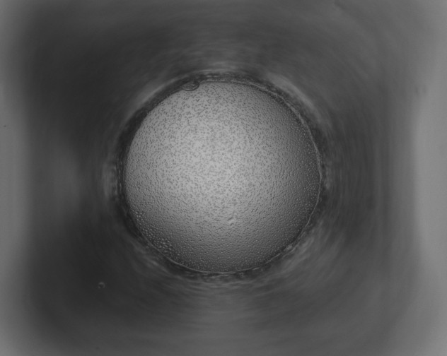 X0000103171208200808291503