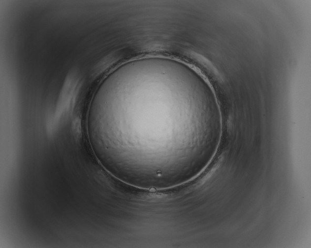 X0000103171209200808291503