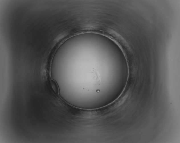 X0000103171210200808291503