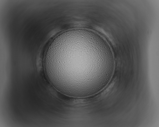 X0000103171211200808291503