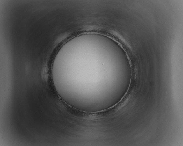 X0000103171213200808291503