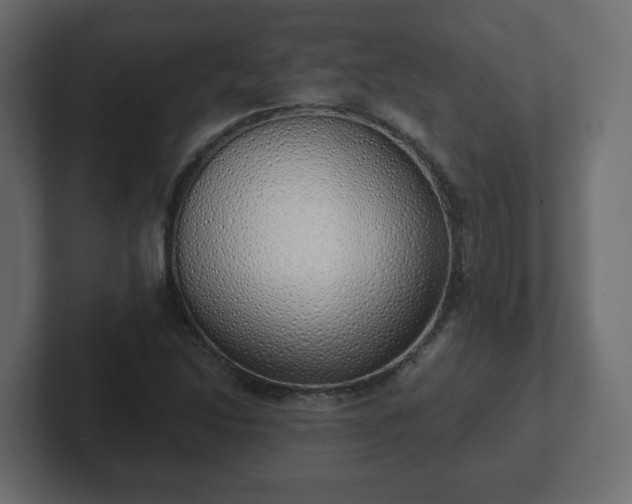 X0000103171214200808291503