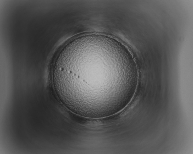 X0000103171215200808291503