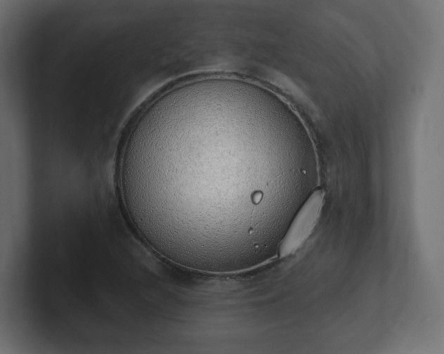 X0000103171216200808291503