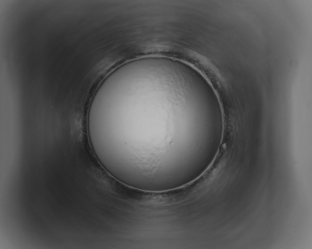 X0000103171217200808291503