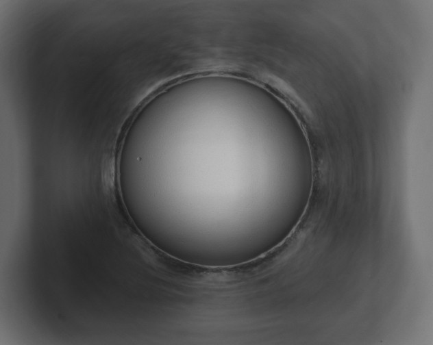 X0000103171220200808291503