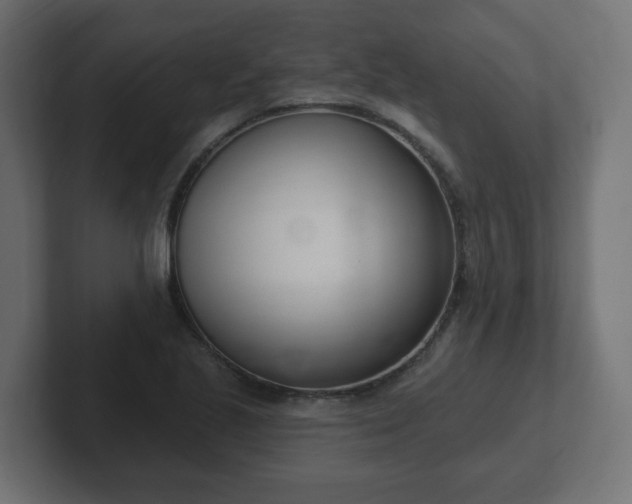 X0000103171221200808291503