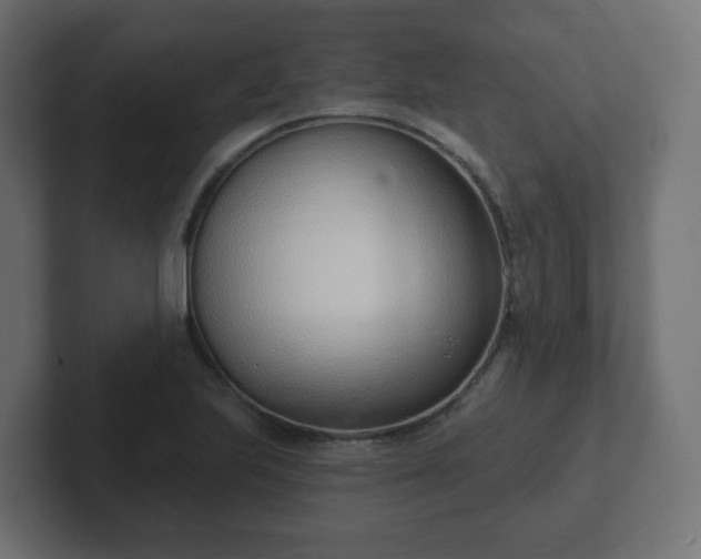 X0000103171223200808291503