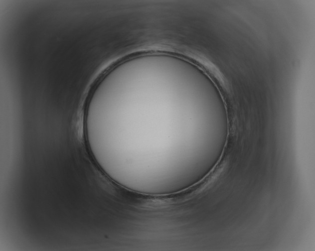 X0000103171224200808291503