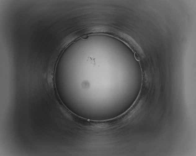 X0000103171225200808291503