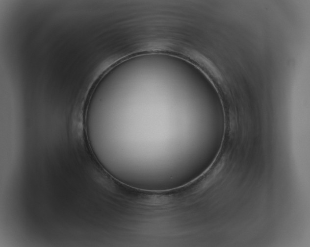 X0000103171226200808291503