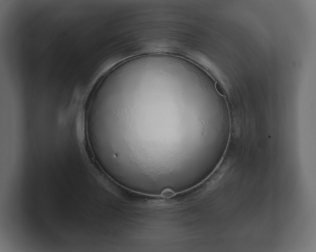 X0000103171227200808291503