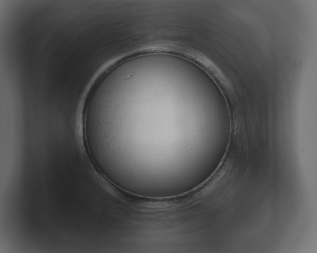 X0000103171232200808291504