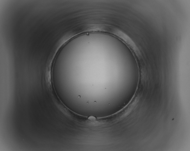 X0000103171234200808291504