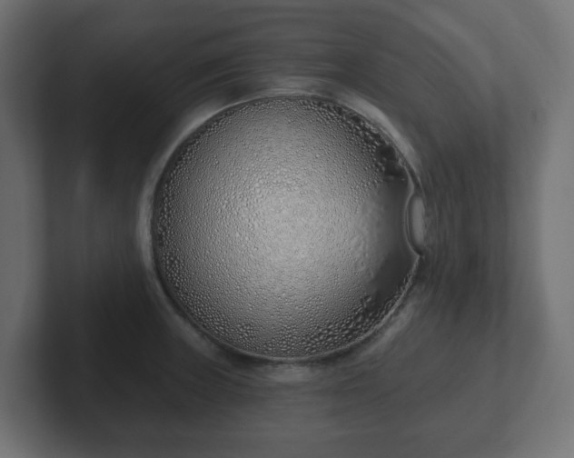 X0000103171235200808291504