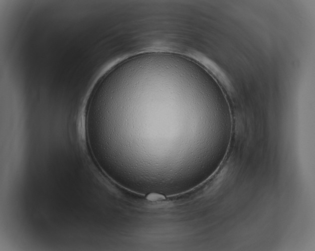 X0000103171238200808291504