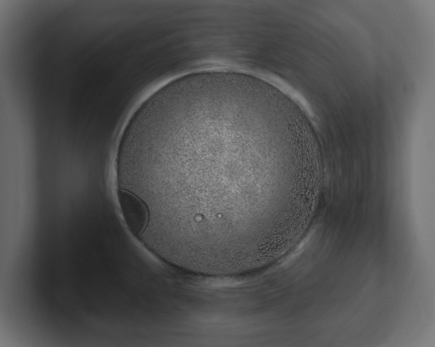 X0000103171239200808291504