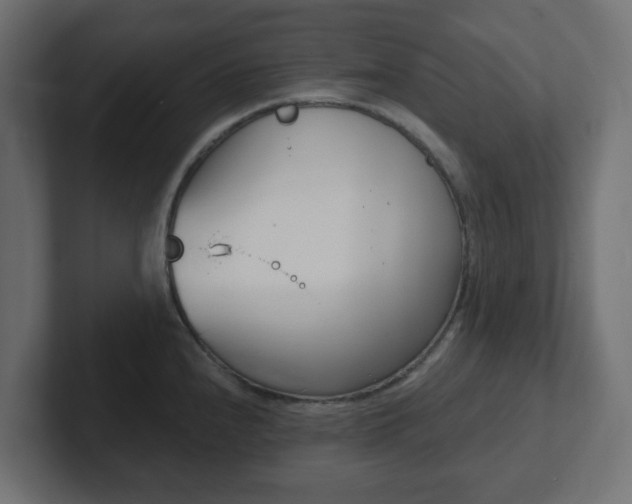 X0000103171240200808291504