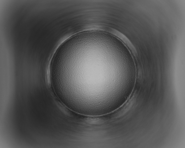 X0000103171242200808291504