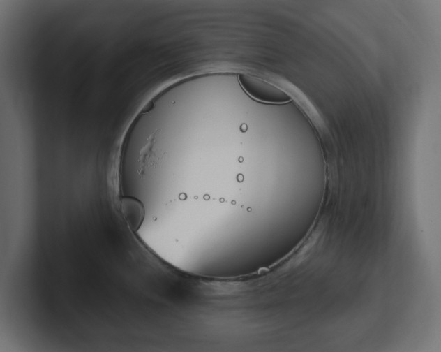 X0000103171244200808291504