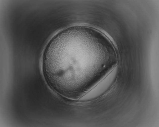 X0000103171245200808291504