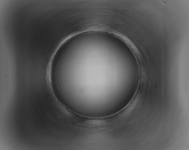 X0000103171246200808291504