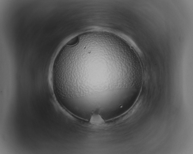 X0000103171247200808291504