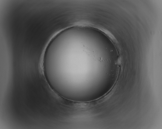 X0000103171248200808291504