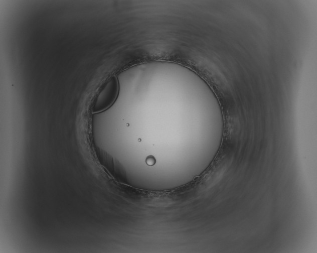 X0000103171249200808291503