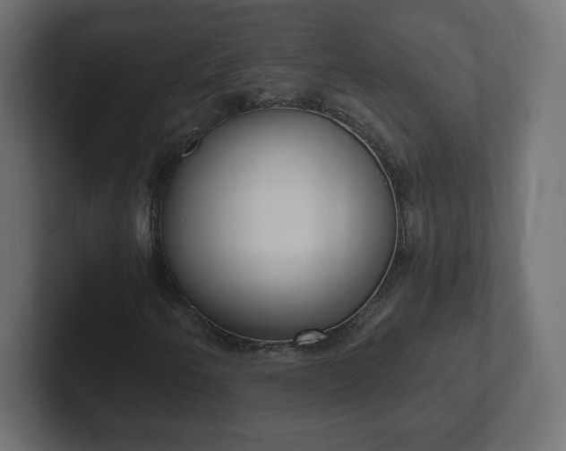 X0000103171250200808291503