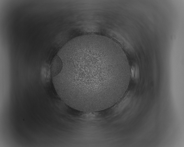 X0000103171251200808291503