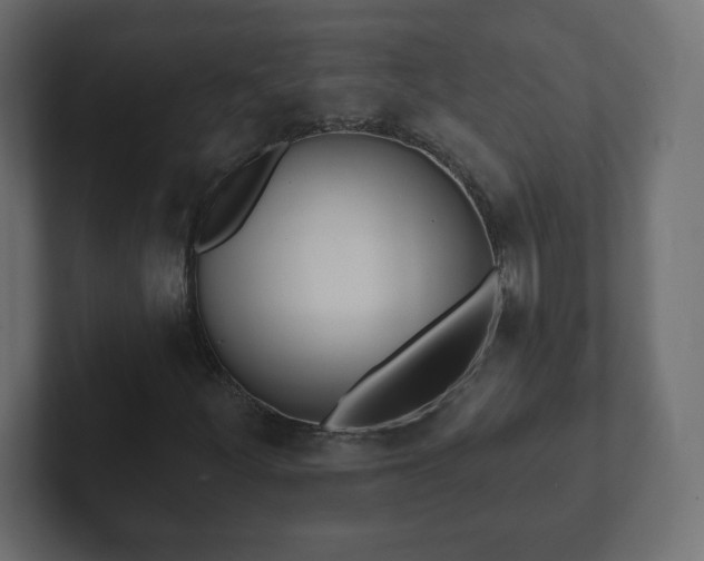 X0000103171252200808291503