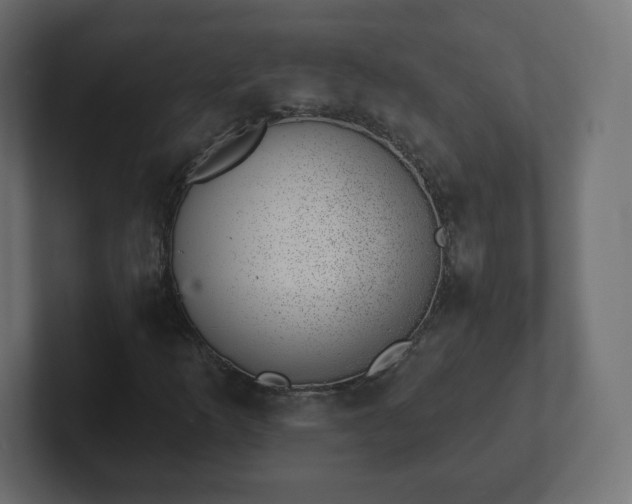 X0000103171253200808291503