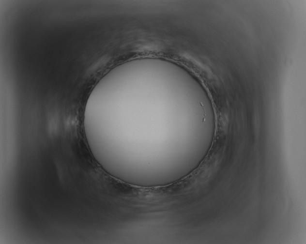 X0000103171254200808291503