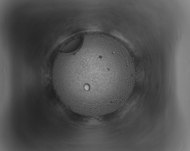 X0000103171255200808291503